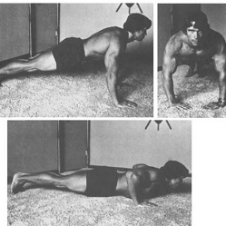 Arnold Schwarzenegger Home Workout Review - Featured Image - Push Ups - CheckMeowt