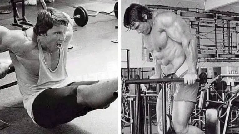 Arnold Schwarzenegger Blueprint to Cut Review - Dips