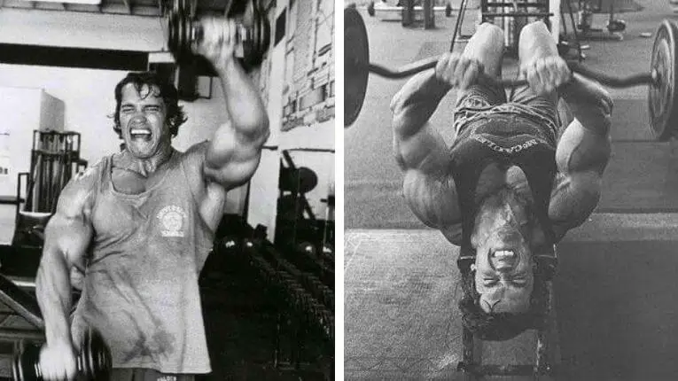 Arnold Schwarzenegger Blueprint to Cut Review - Dumbbell Front Raises and Skullcrushers