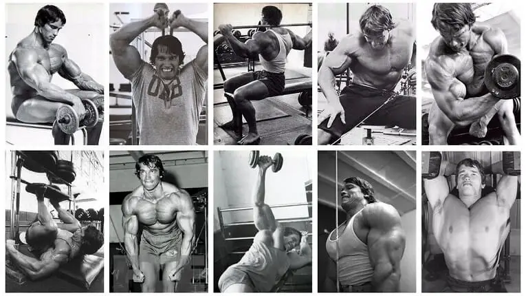 Arnold Schwarzenegger's Blueprint to Cut Review