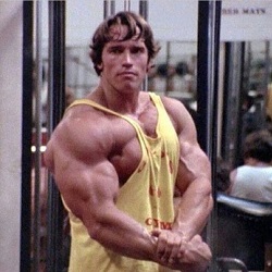 Arnold Schwarzenegger's Blueprint to Mass Review - Featured Image